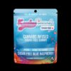 Sugar Free Blue Raspberry Gummies