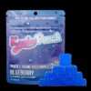 Kushy Punch Indica Blueberry Gummies