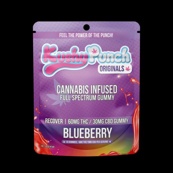 Kushy Punch Blueberry Gummies